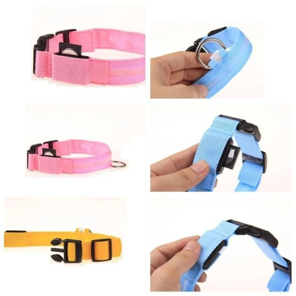 Reflective LED Dog Collar