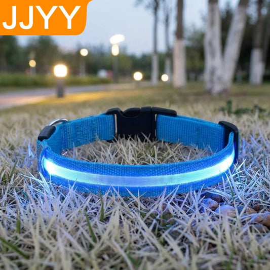 Reflective LED Dog Collar