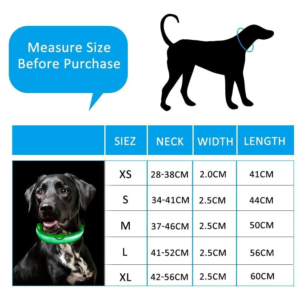 Reflective LED Dog Collar
