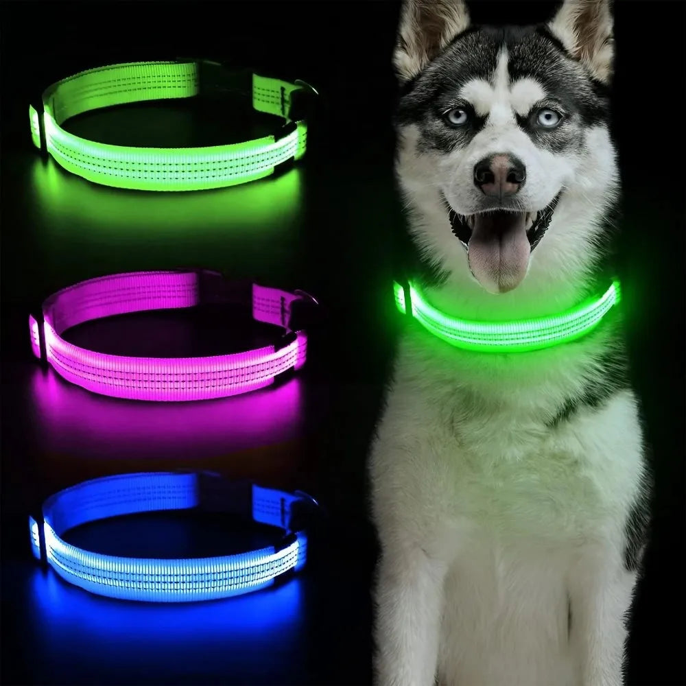 Reflective LED Dog Collar